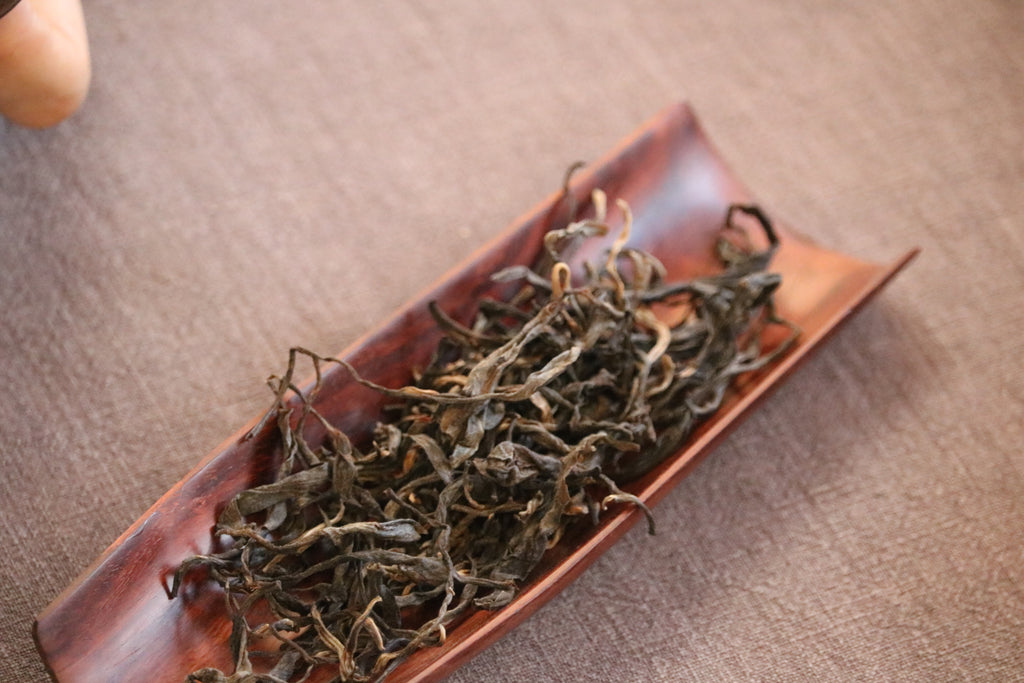 2020 Wild Ancient Tree Sheng (Raw) Pu’er – Forest Reserve
