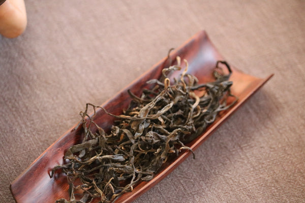 2020 Wild Ancient Tree Sheng (Raw) Pu’er – Forest Reserve